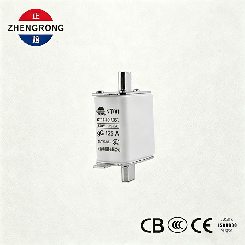 Hausteko gaitasun handiko NT00 125A fusiblea - 500V 120kA zeramika gG Fusible Link