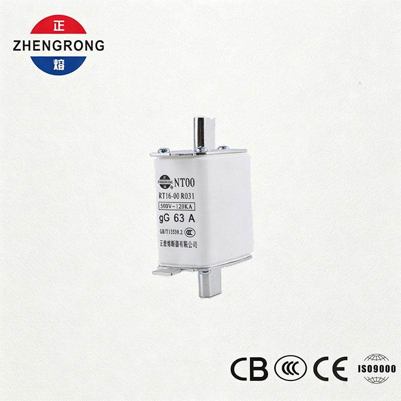 Hausteko gaitasun handiko NT00 63A fusiblea - 500V 120kA zeramika gG Fusible Link