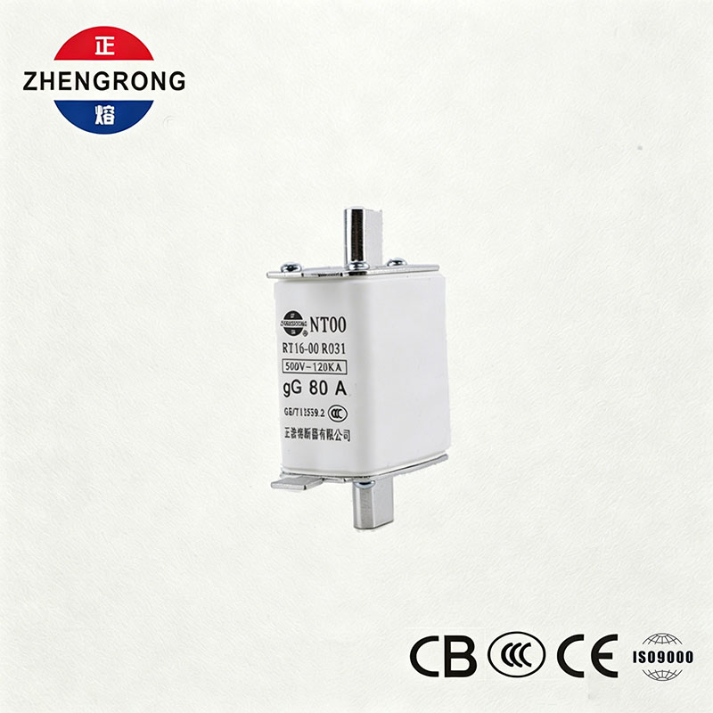 Hausteko gaitasun handiko NT00 80A fusiblea - 500V 120kA zeramika gG Fusible Link