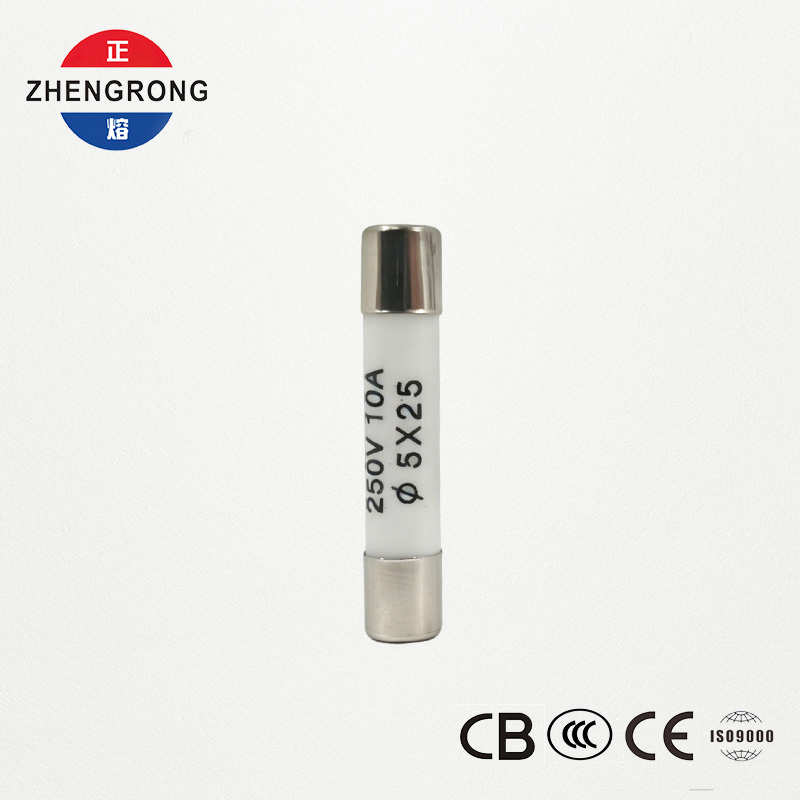 Handizkako erosleentzako kalitate handiko 5x25 mm R055 10A fusibleak