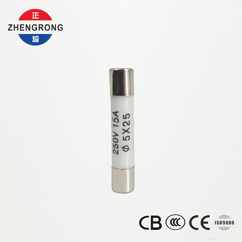 Handizkako erosleentzako kalitate handiko 5x25 mm R055 15A fusibleak