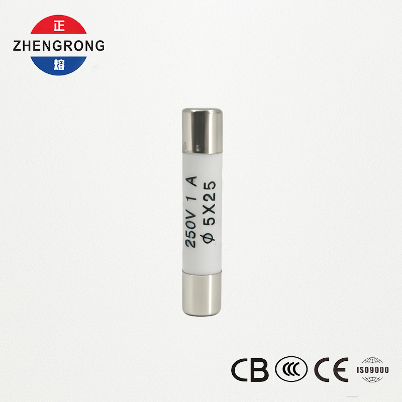 Handizkako erosleentzako kalitate handiko 5x25 mm R055 1A fusibleak
